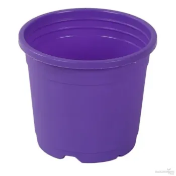 Purple Thermoform Pot 5 inch (Set of 20)