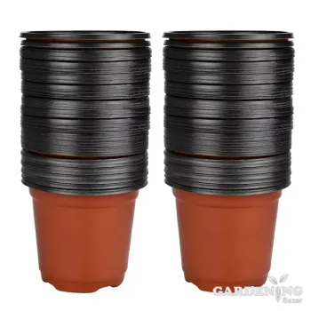 Terracotta Thermoform Pot 6 inch (Set of 10)