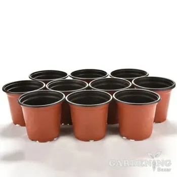 Terracotta Thermoform Pot 8 inch (Set of 20)