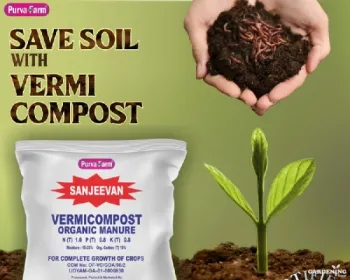 Vermicompost - 1 Kg Pack