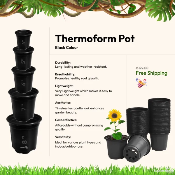 Black Thermoform Pot 5 inch (Set of 10)