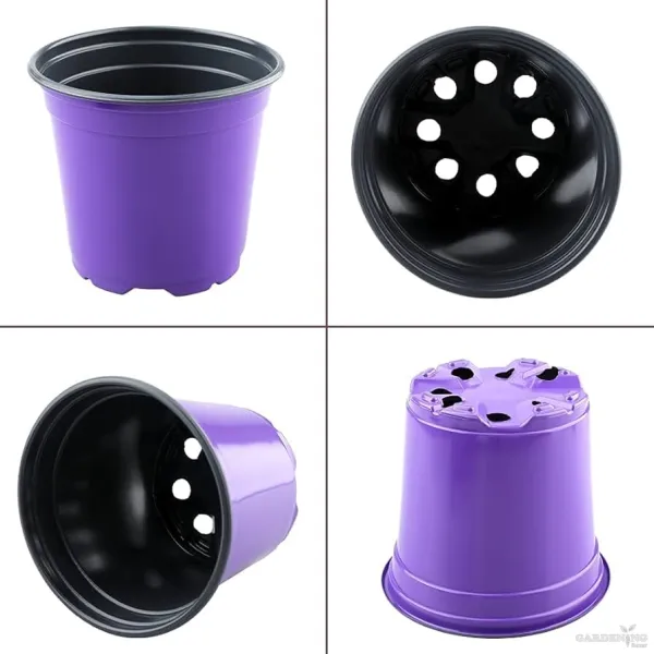 Purple Thermoform Pot 5 inch (Set of 20)