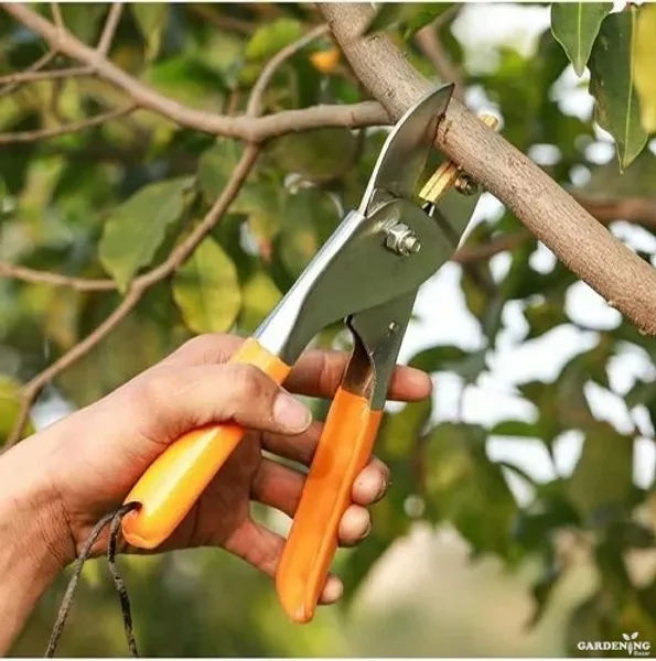 Pruning Secateur roll cut croom