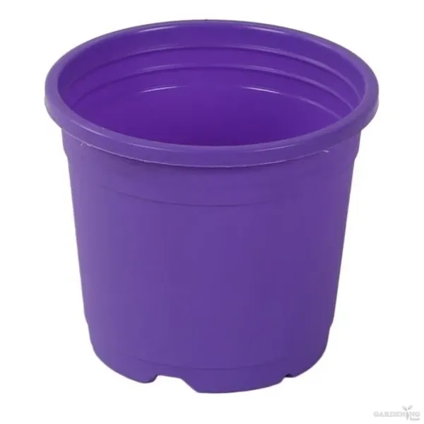 Purple Thermoform Pot 5 inch (Set of 20)