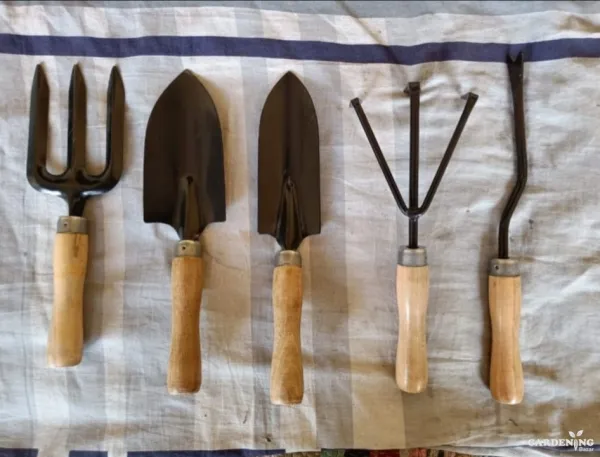 Garden trowel Set Of 5  (Wooden Handle)