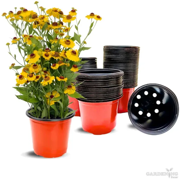 Terracotta Thermoform Pot 7 inch (Set of 50)