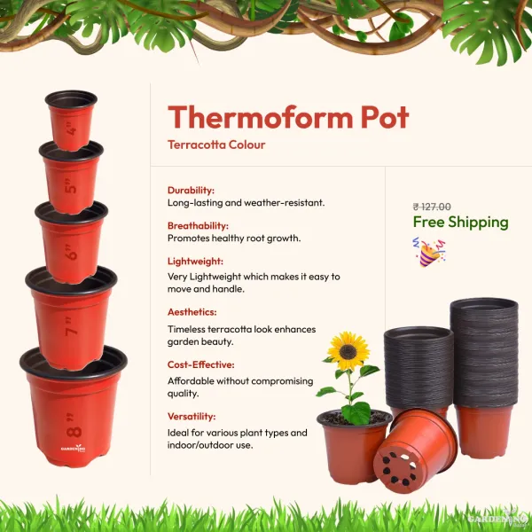 Terracotta Thermoform Pot 4 inch (Set of 100)