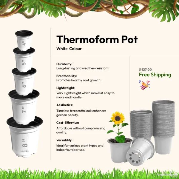 White Thermoform Pot 8 inch (Set of 10)