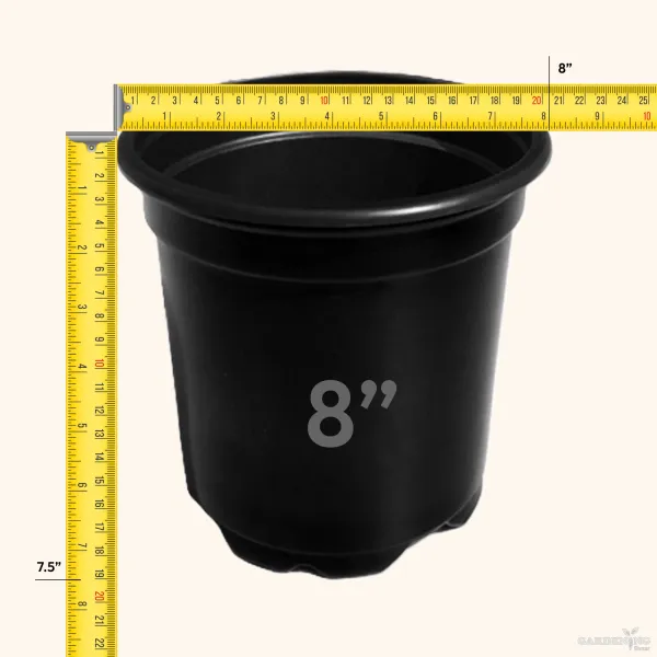 Black Thermoform Pot 8 inch (Set of 50)