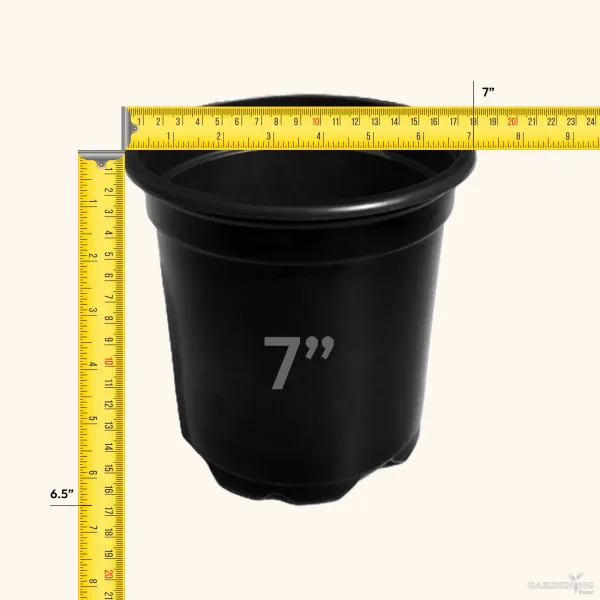 Black Thermoform Pot 7 inch (Set of 20)