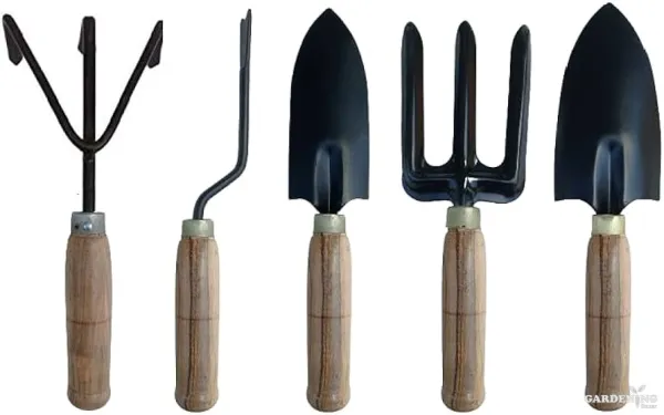 Garden trowel Set Of 5  (Wooden Handle)