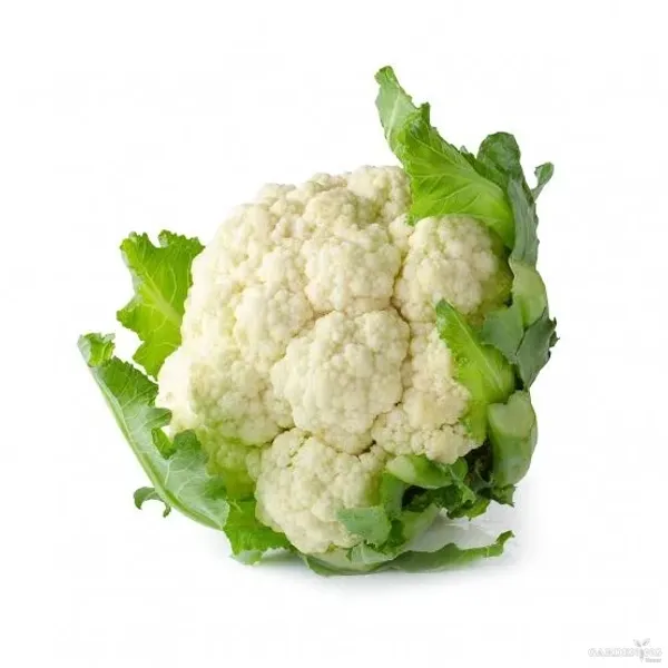 Cauliflower Hybrid Seeds Qty(30-50)