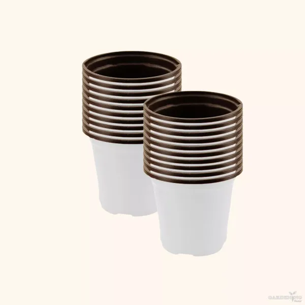 White Thermoform Pot 6 inch (Set of 100)