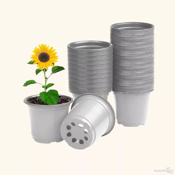 White Thermoform Pot 6 inch (Set of 100)
