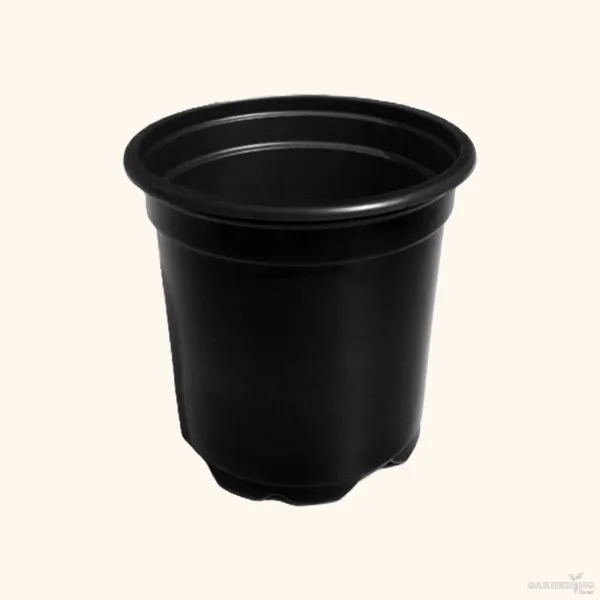 Black Thermoform Pot 7 inch (Set of 20)