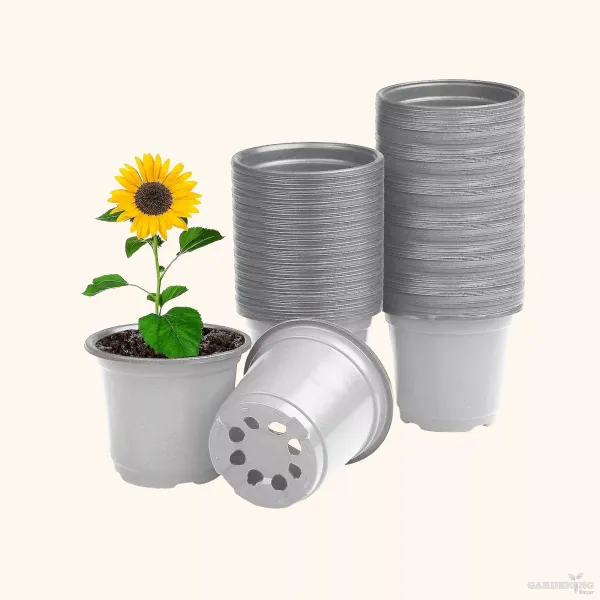 White Thermoform Pot 7 inch (Set of 200)