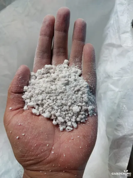 Pack of 300g perlite