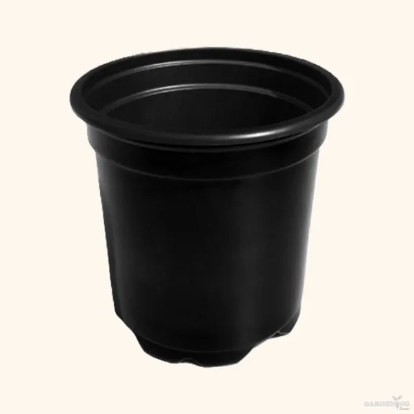 Black Thermoform Pot 8 inch (Set of 20)