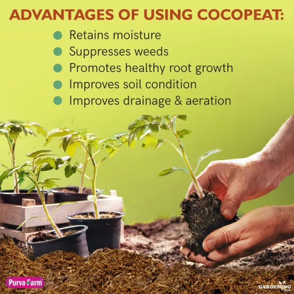 Cocopeat Blocks 1 Kg