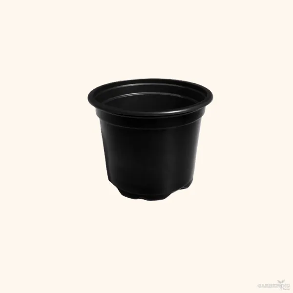 Black Thermoform Pot 4 inch (Set of 20)