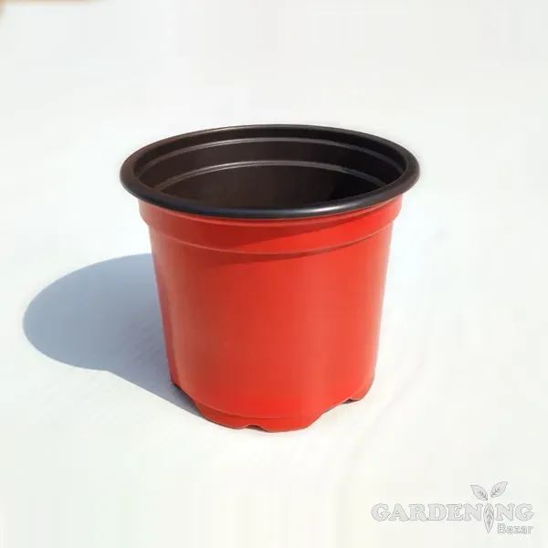 Terracotta Thermoform Pot 6 inch (Set of 100)
