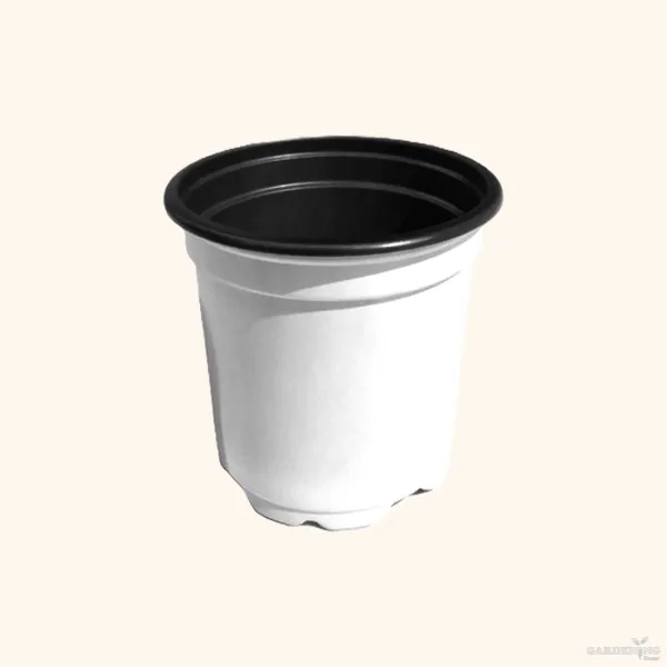 White Thermoform Pot 6 inch (Set of 100)