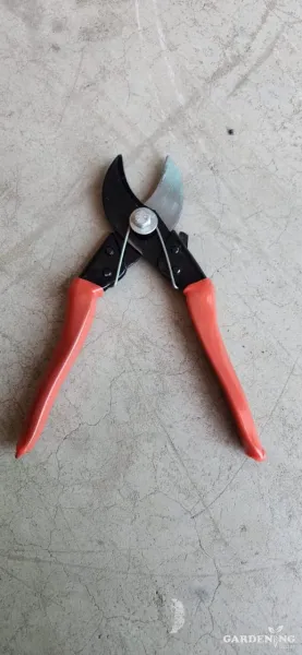 Pruning Secateur Double Cut