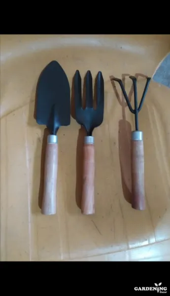 Mini trowel set of 3 for Home Gardening (wooden handle)