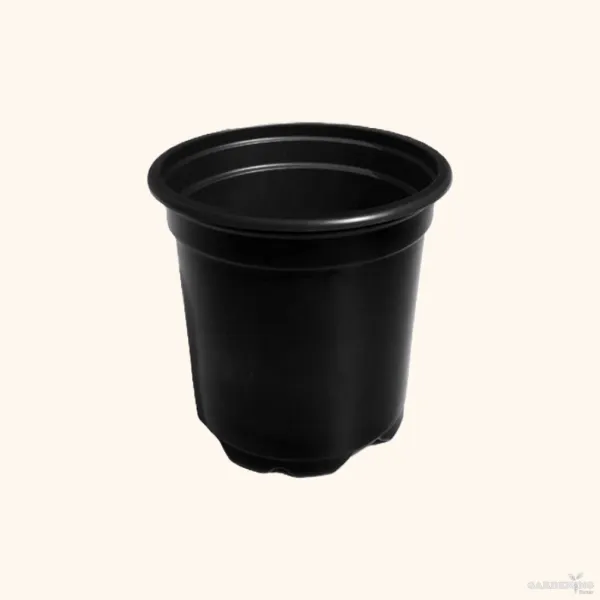 Black Thermoform Pot 6 inch (Set of 100)